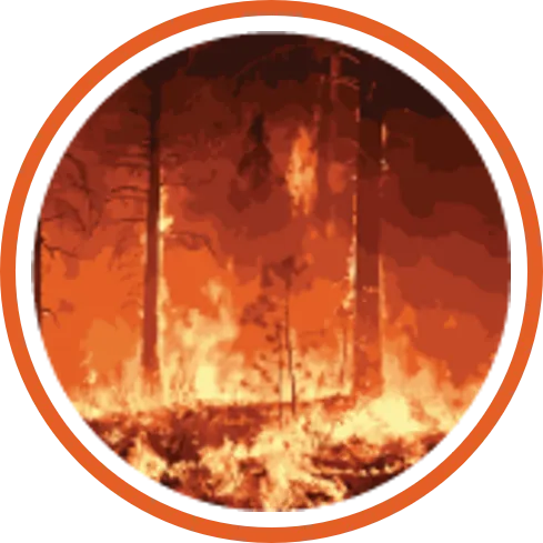 CarbonFOX Fire