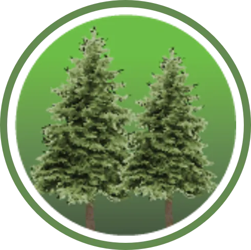 CarbonFOX Trees